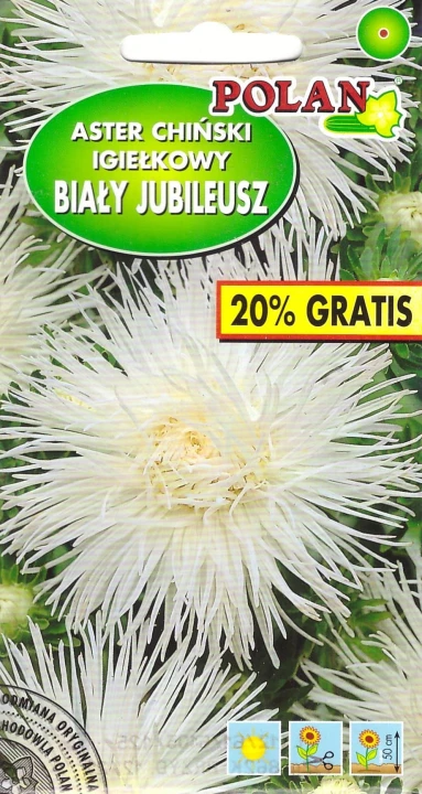 aster bialy jubileusz pol.jpg
