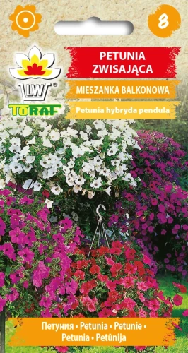PETUNIA-ZWISAJĄCA-MIESZANKA-BALKONOWA.webp