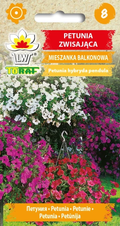 PETUNIA-ZWISAJĄCA-MIESZANKA-BALKONOWA.webp