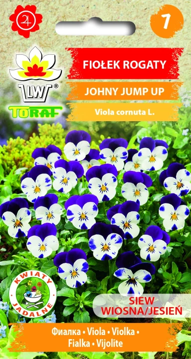 Fiołek-rogaty-JOHNY-JUMP-UP.webp