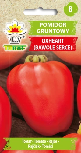 Pomidor-OXHEART.webp