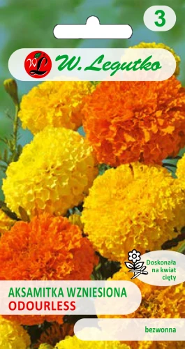 aksamitka-wzniesiona-odourless.webp