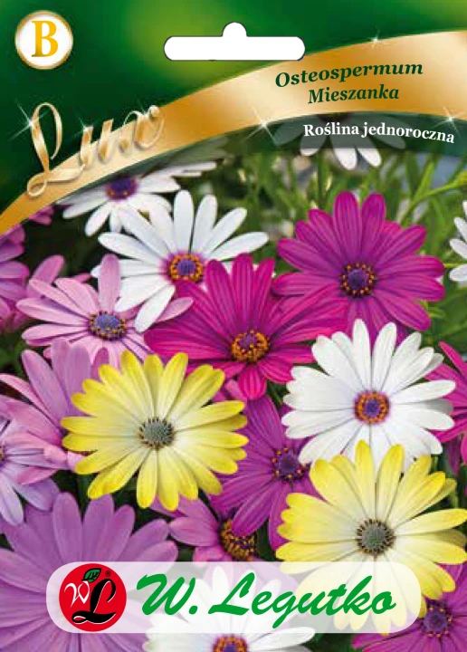 Osteospermum.webp