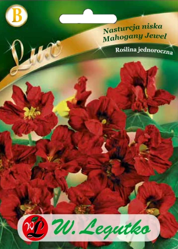Nasturcja-niska-Mahogany-Jewel.webp