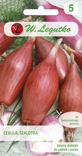 Cebula-szalotka.webp