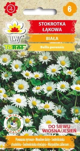 Stokrotka-Łąkowa-BIAŁA.webp