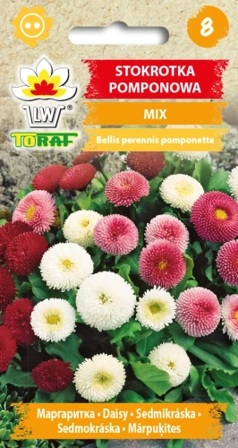 Stokrotka-POMPONOWA-MIX.webp