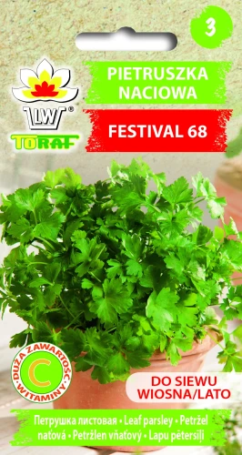 Pietruszka-FESTIVAL-68.webp