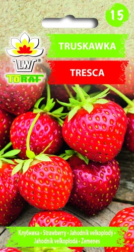 Truskawka-TRESCA.webp