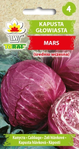 Kapusta-Głowiasta-MARS.webp