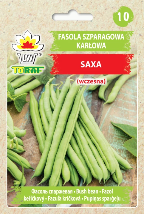 Fasola-SAXA.webp