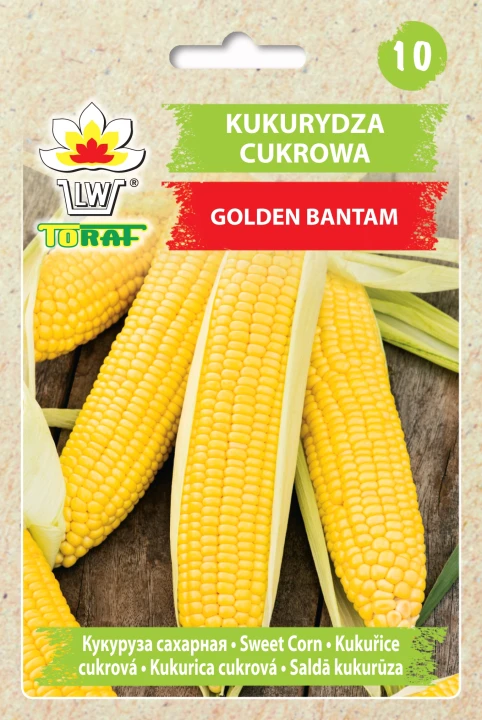Kukurydza-cukrowa-GOLDEN-BANTAM.webp