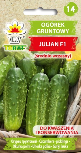 Ogórek-gruntowy-JULIAN.jpg