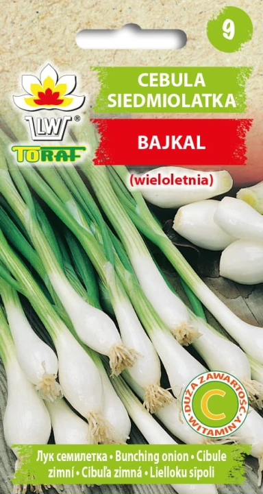 Cebula-SIEDMIOLATKA-BAJKAL.jpg