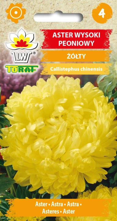 Aster-wysoki-peoniowy-ŻÓŁTY.jpg