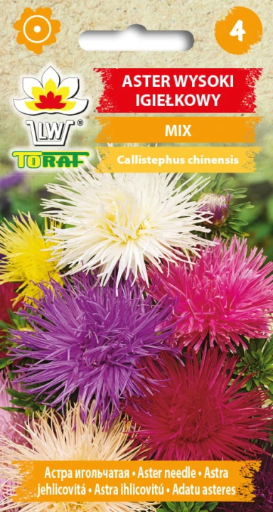 Aster-igiełkowy-MIX.jpg