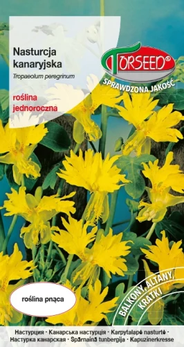 Nasturcja-kanaryjska.webp
