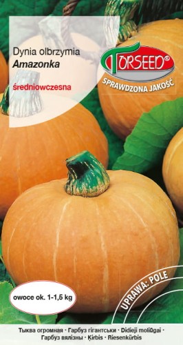 Dynia Amazonka.jpg