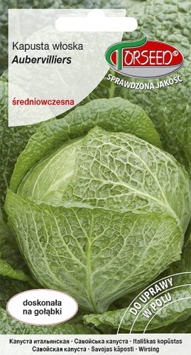kapusta wloska aubervilliers.jpg