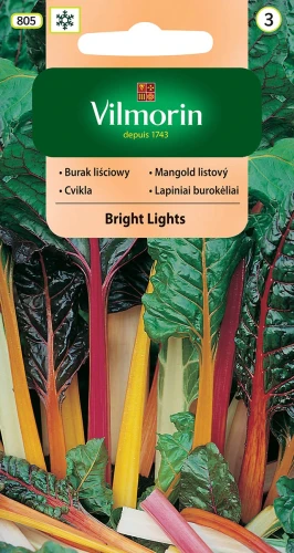 burak-bright-lights.webp