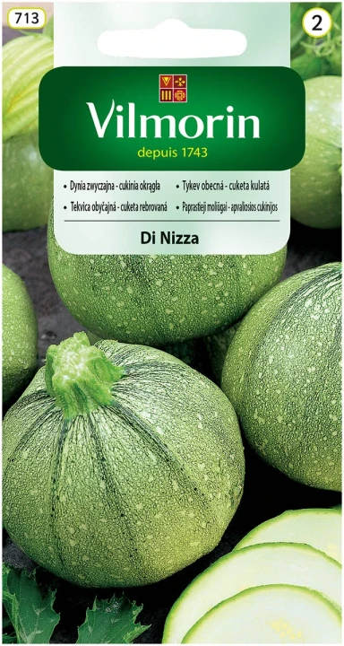 cukinia-di-nizza.webp