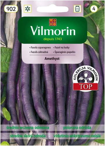 fasola_amethyst.webp