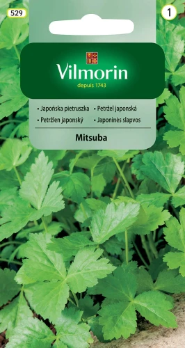pietruszka-mitsuba.webp