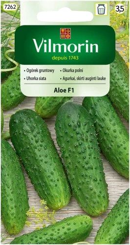 ogórek-aloe.webp