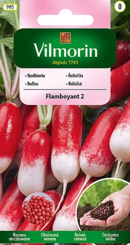 rzodkiewka-flamboyant.webp