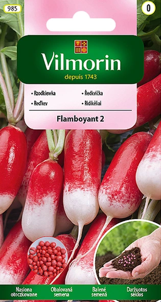 rzodkiewka-flamboyant.webp
