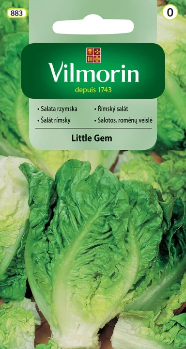 sałata-little-gem.webp