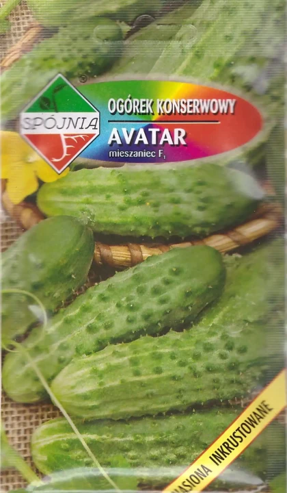 ogórek-avatar.webp