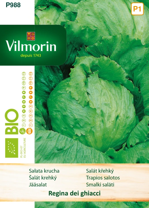 salata-regina-dei-ghiacci.jpg