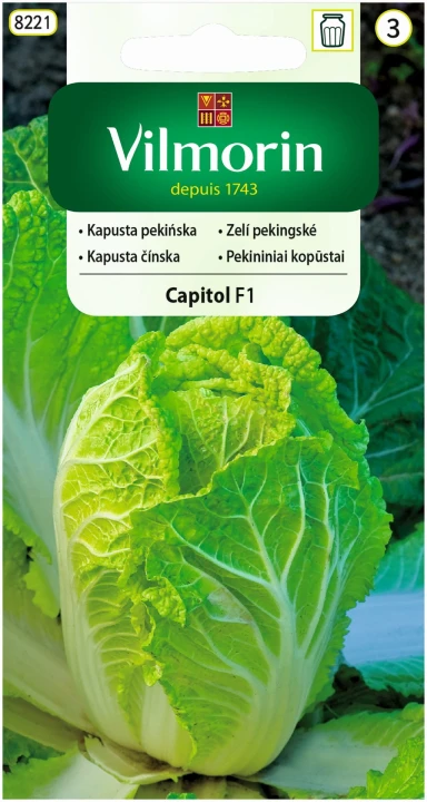 kapusta-capitol.jpg