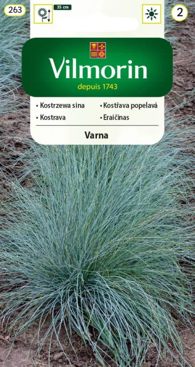 kostrzewa-varna.jpg