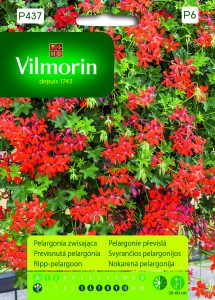 Pelargonia zwisająca bluszczolistna czerwona nasiona 7 sztuk Vilmorin