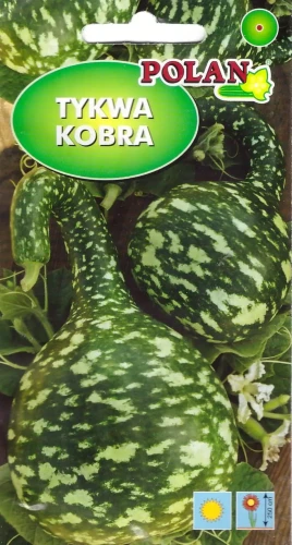 tykwa-kobra.webp