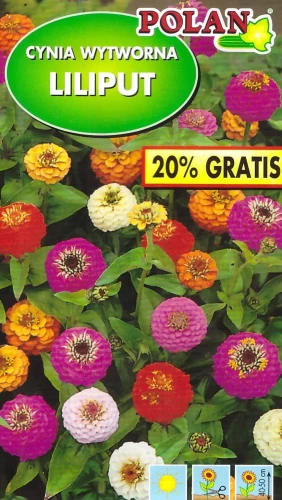 cynia-liliput.webp