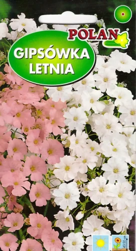 gipsówka-letnia-mieszanka.webp