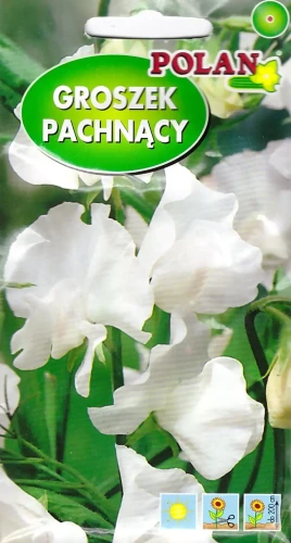 groszek-pachnący-biały.webp