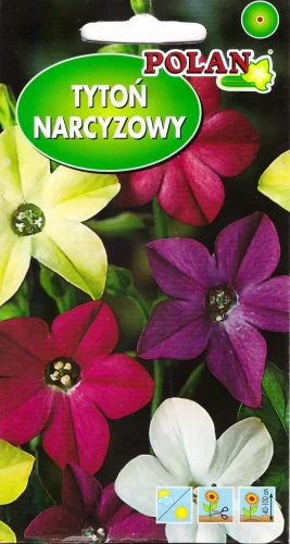 tytoń-narcyzowy.webp