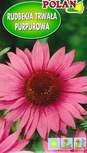 rudbekia-trwała-różowa.webp