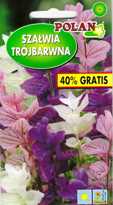 szałwia-trójbarwna-mieszanka.webp