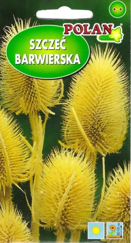 szczeć-barwierska.webp
