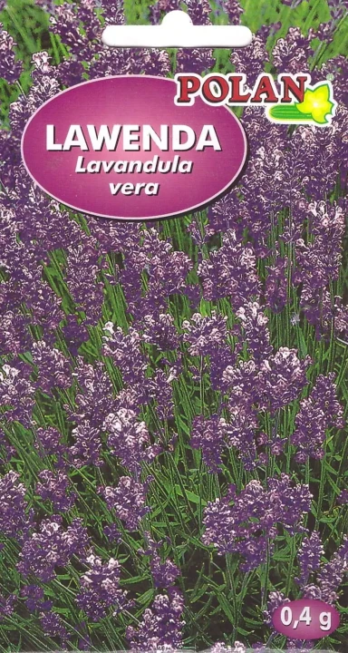 lawenda-lekarska.webp
