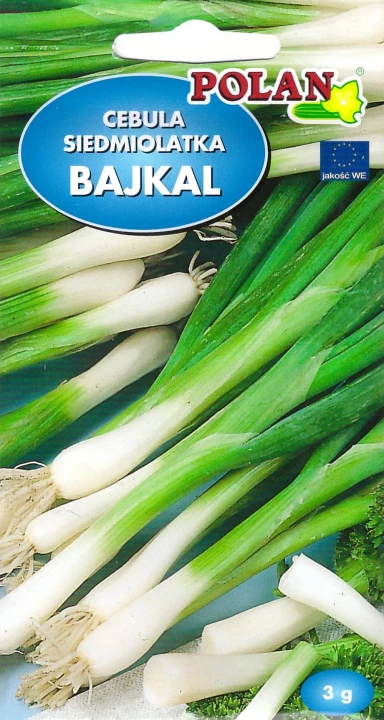 cebula-bajkal.webp