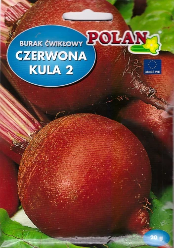 burak-czerwona-kula-2.webp
