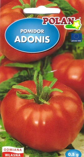 pomidor-adonis.webp