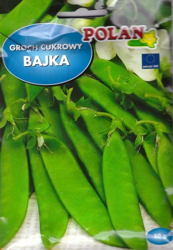groch-bajka.webp