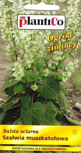 szałwia-muszkatołowa.webp